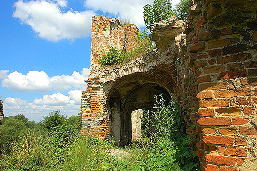 Zawieprzyce - ruiny zamku