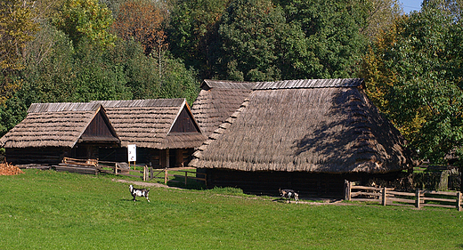 Grnolski Park Etnograficzny. Zagroda bogatego chopa z I po. XIXw.