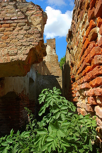 Zawieprzyce - ruiny oranerii
