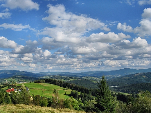 Koczy Zamek - widok ze szczytu