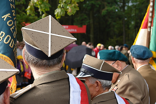 Obchody 66. rocznicy bitwy partyzanckiej. Gruszka