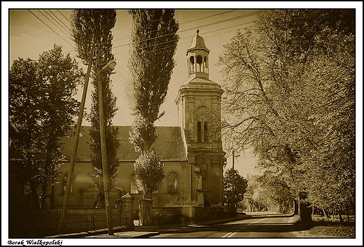 Borek Wielkopolski - koci farny p.w. w. Stanisawa Biskupa