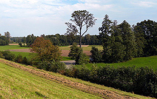 Okolice Zabrzega.