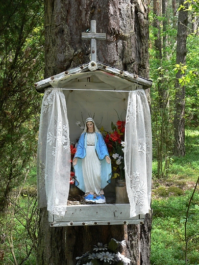 Kapliczka na drzewie. Puszcza Kampinoska