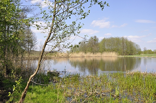 jeziorko na poludniowych granicach Warszawy