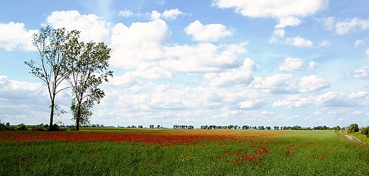 Panorama Paucka