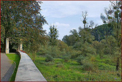Zamek w Rogowie Opolskim -fragment dzikiej czci parku zamkowego