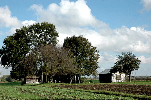 lipcze - polski step woyski