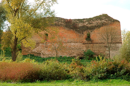 Kryłów - ruiny zamku na wyspie na Bugu