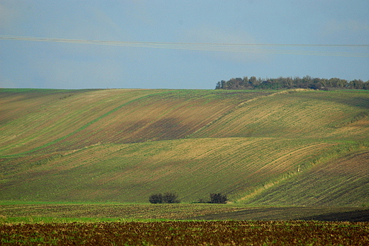 Husynne - jesienne pola