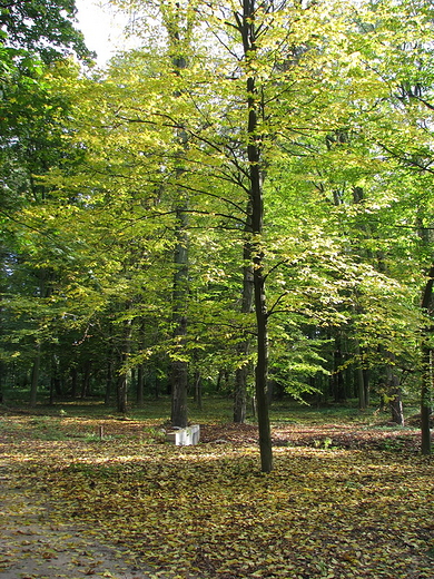 Zesp Paacowo-Parkowy w Opinogrze