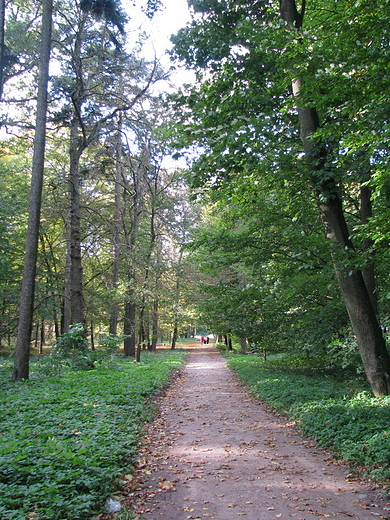 Zesp Paacowo-Parkowy w Opinogrze