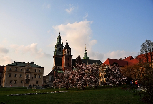 Wawel - Krakw