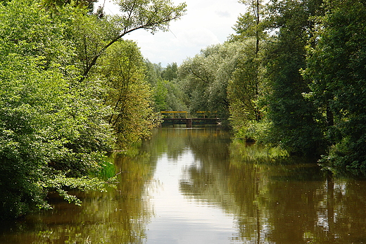 Nad Czarn. Staszw