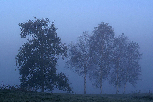 Chodny poranek, okolice wsi Siekierki