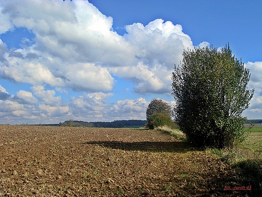 ROZTOCZASKIE POLA