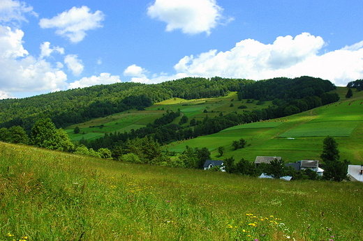 Wojkowa - widok na wzgrza