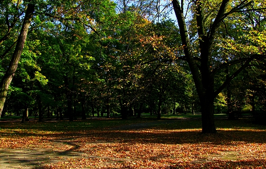 jesień