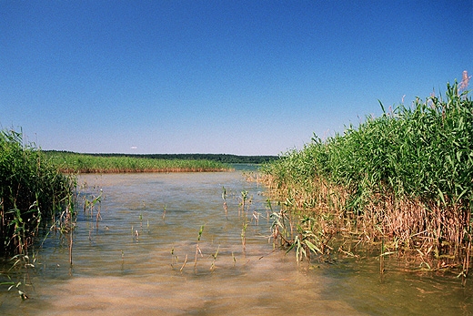 Jezioro Wigry - przesmyk pomidzy wyspami Ordw i Ostrw. Ta druga to jedna z najwikszych wysp  rdldowych w Polsce. Wigierski Park Narodowy
