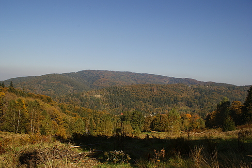 Beskid May