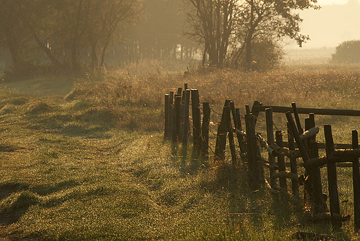Moje drki plenerowe, okolice wsi Siekierki