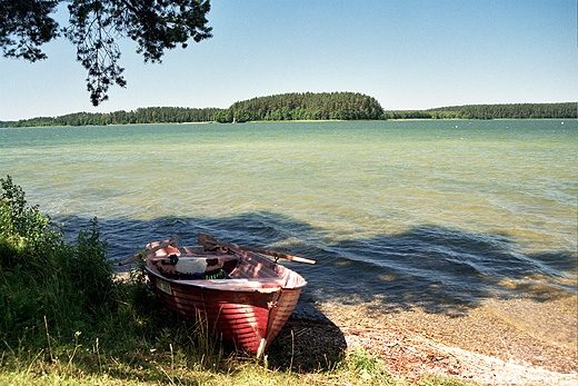 Na Ordowie - jednej z najpikniejszych wysp rdldowych w Polsce. Wigierski Park Narodowy