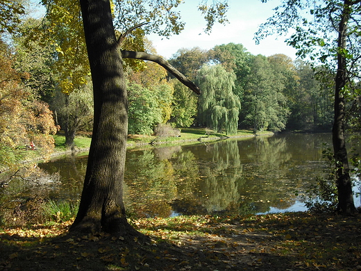 Warszawa. Park Skaryszewski.