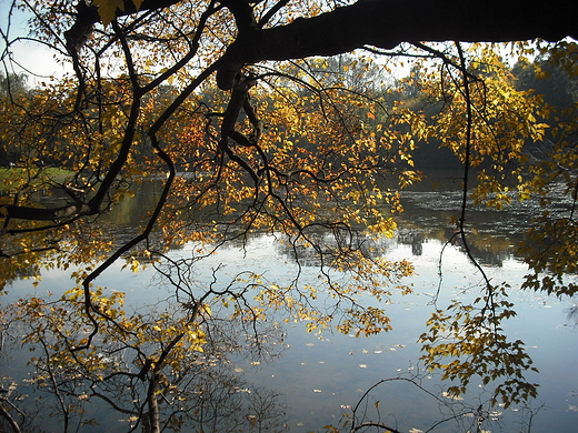 Warszawa. Park Skaryszewski.