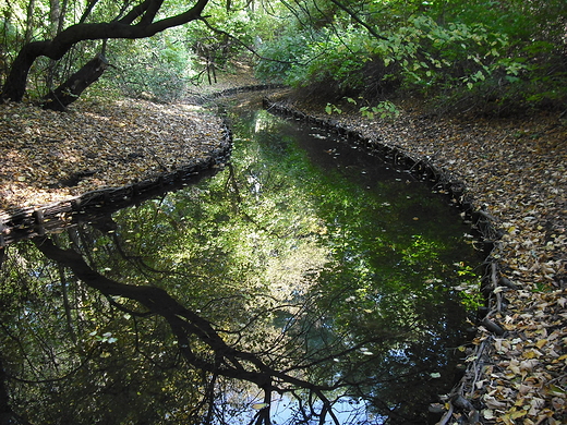 Warszawa. Park Skaryszewski.