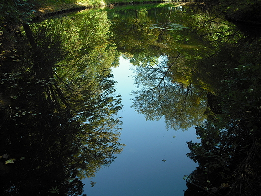 Warszawa. Park Skaryszewski.