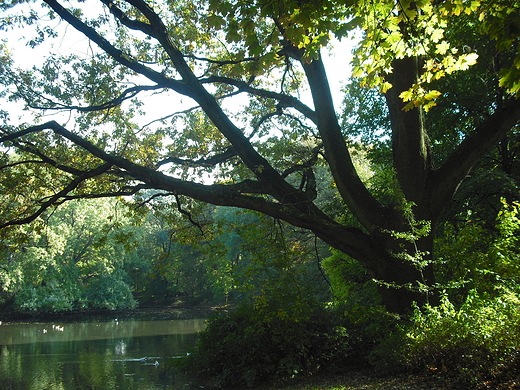 Warszawa. Park Skaryszewski.