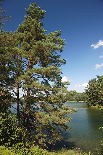 Jezioro Staw w Gawrych Rudzie. Wigierski Park Narodowy