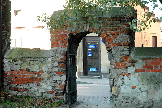 Wilica gotycka bramka do domu kanonika Dugosza