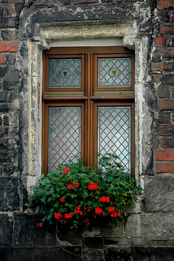 Wilica - gotyckie okno w domu Dugosza