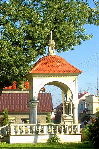 Wilica - otarzyk polowy