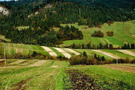 Spisz - pola pod Czorsztynem