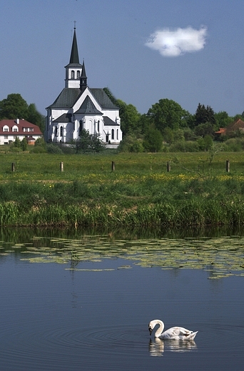 Kościół Parafialny p.w. św. Zygmunta w Pniowie. Widok od strony rezerwatu
