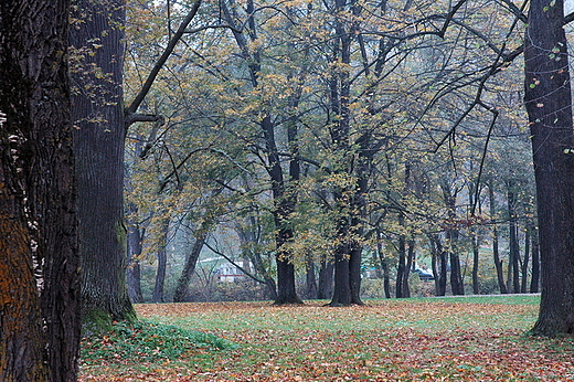 Szczawnica - w parku zdrojowym