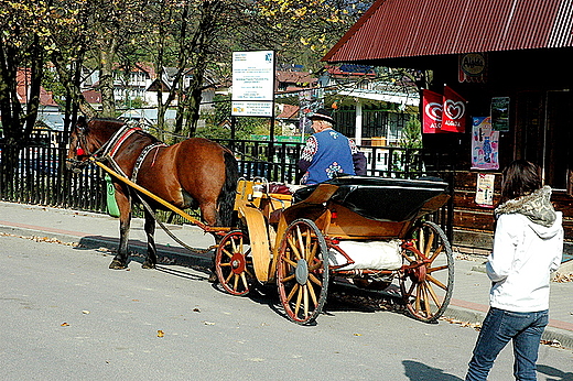 Szczawnica - czyhanie na cepra