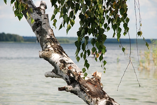 Jezioro Wigry - w tle widoczny Plos Bryzglowski. Wigierski Park Narodowy