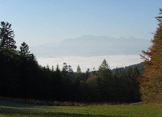 Widok na Tatry z przeczy Szopka