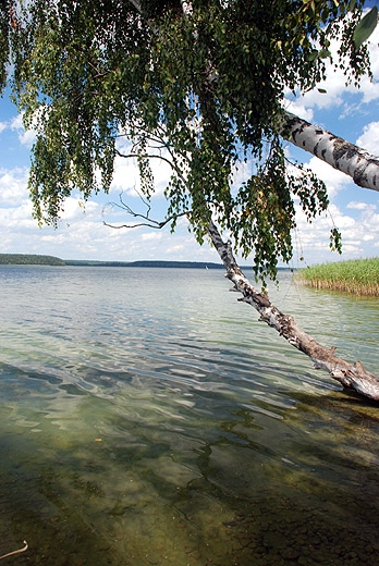 Jezioro Wigry - widok na Plos Bryzglowski w kierunku Zaktw. Wigierski Park Narodowy