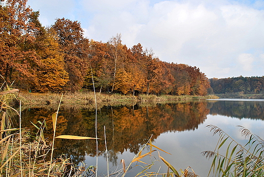 Poniatowa. Lubelszczyzna