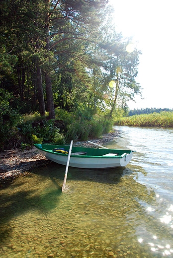 Jezioro Wigry - postj na Ordowie. Wigierski Park Narodowy