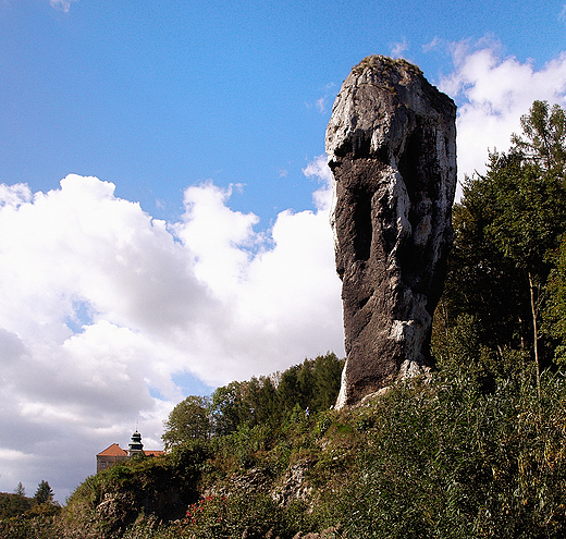 Maczuga Herkulesa.