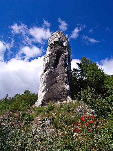 Maczuga Herkulesa.