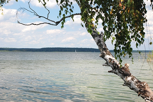 Jezioro Wigry - Plos Bryzglowski. Po  lewej Zatoka Przewokowa. Wigierski Park Narodowy
