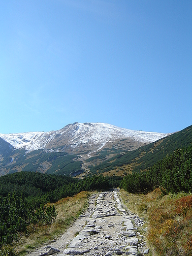 widok z Gsienicowej