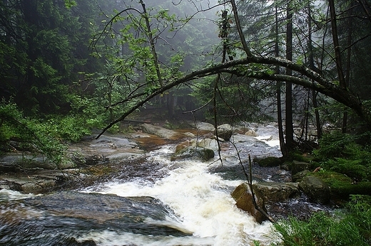 Karkonosze rzeka omnica