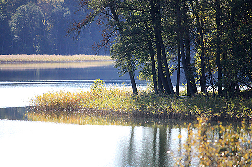 Arboretum Wirty - jezioro Borzechowskie Wielkie